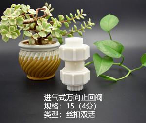 4分進(jìn)氣式萬(wàn)向止回閥